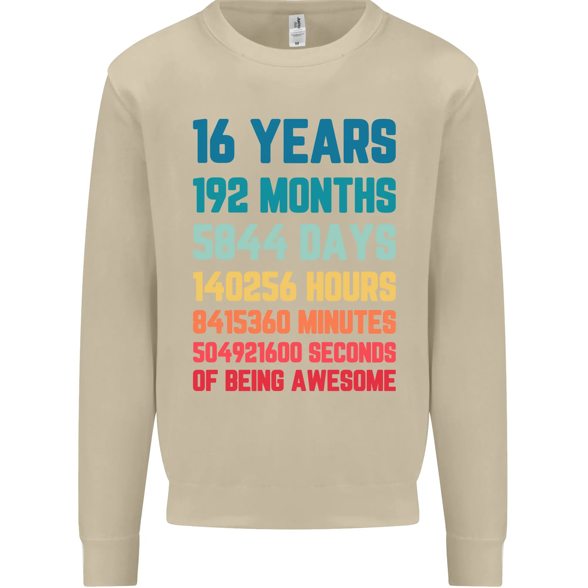 16th Birthday Men's Sweatshirt Jumper - 16 Years Old Gift for Him