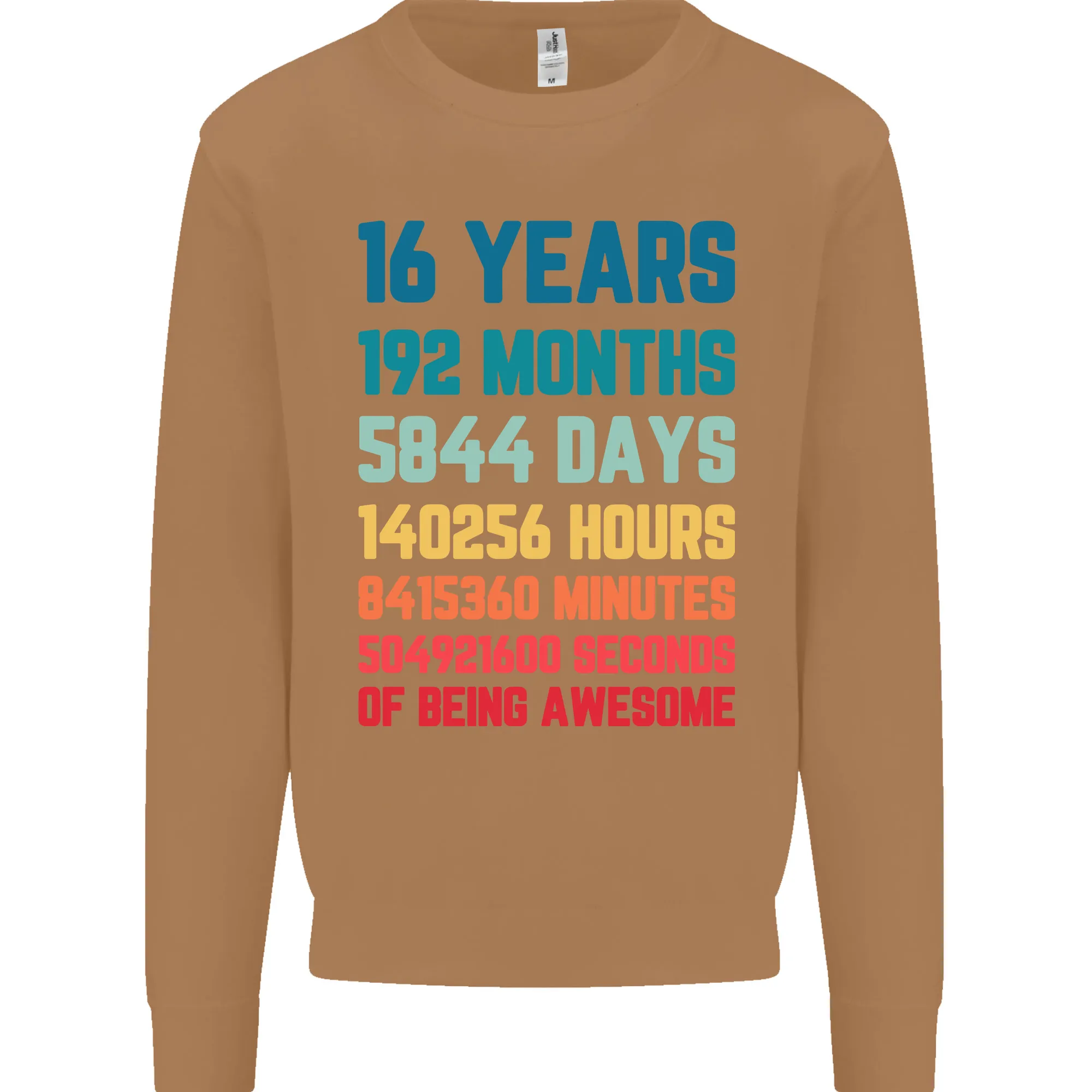 16th Birthday Men's Sweatshirt Jumper - 16 Years Old Gift for Him