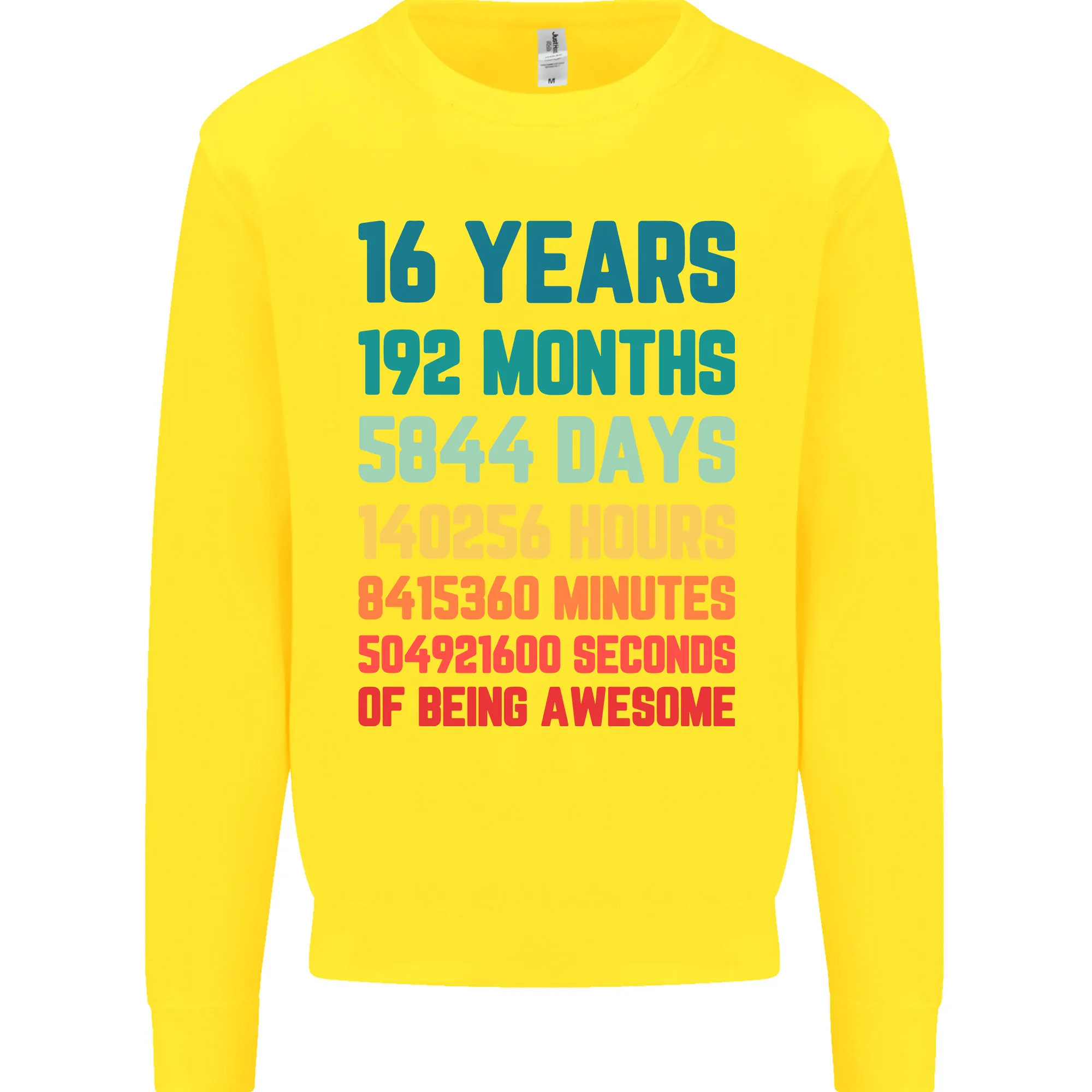 16th Birthday Men's Sweatshirt Jumper - 16 Years Old Gift for Him
