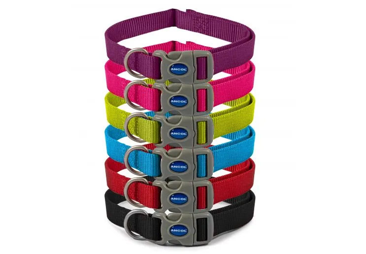 Ancol - Viva Nylon Adjustable Collar - Black - Small (20-30cm)